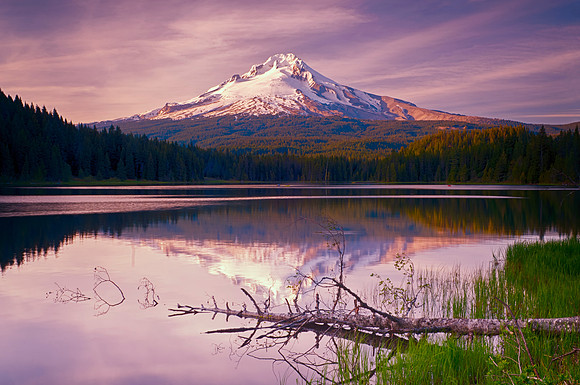 Evening Reflection