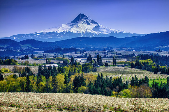 Hood River Valley