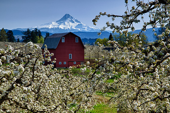 Hood River Red Barn