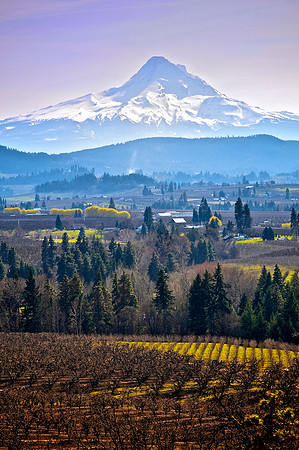 Hood River Valley Portrait