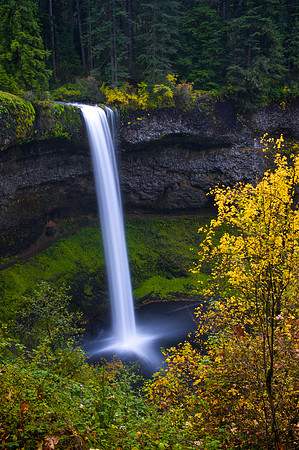 Silver Falls State Park