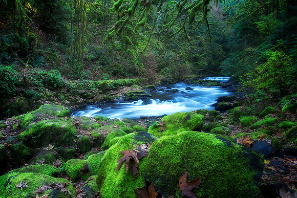 Cedar Creek