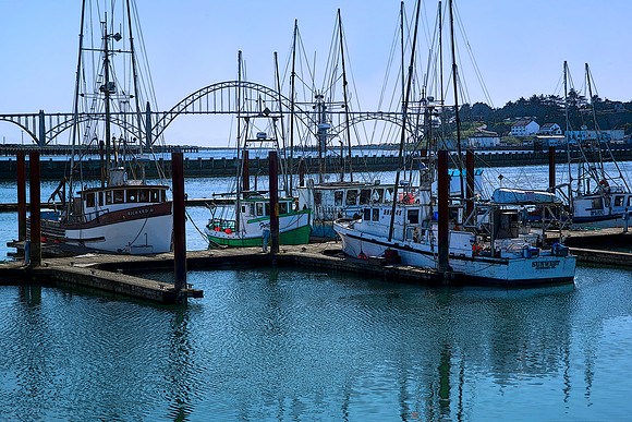 The Harbor