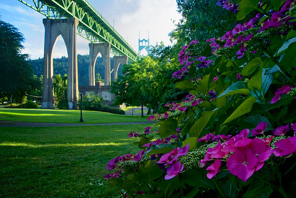 Cathedral Park Flowers