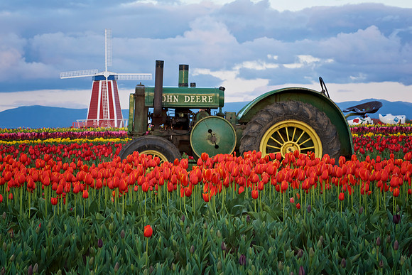 Antique John Deere