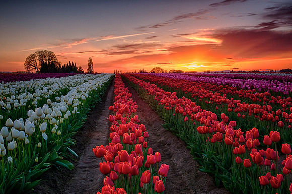 Last Light