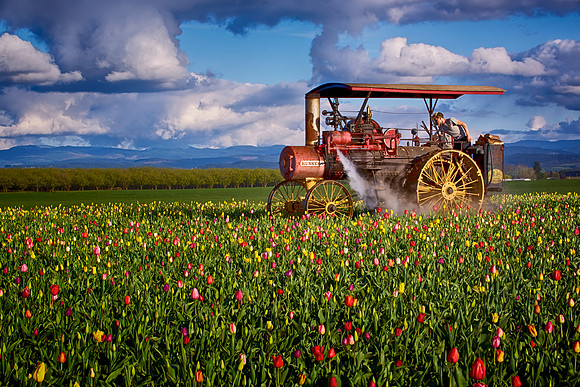 Antique Steam Tractor